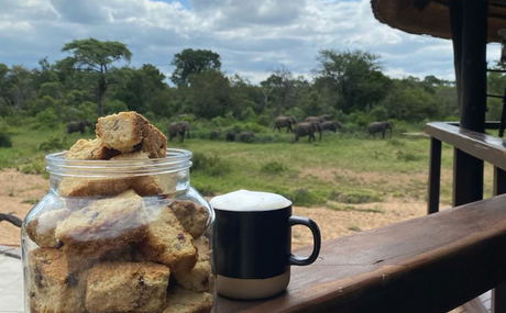 Rusks with a view of the elephants at the waterhole in the background Rusks with a view of the elephants at the waterhole in the background