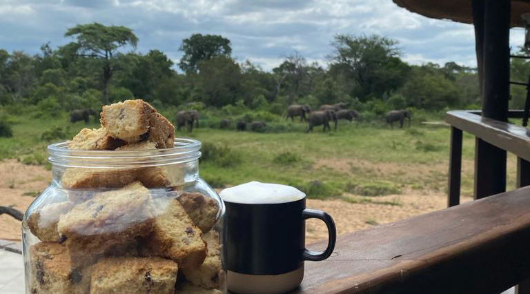 Rusks with a view of the elephants at the waterhole in the background