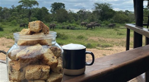 Rusks with a view of the elephants at the waterhole in the background Rusks with a view of the elephants at the waterhole in the background