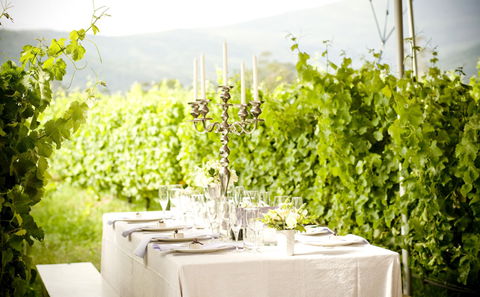 THINGS TO DO IN THE CRAGS / PLETTENBERG BAY