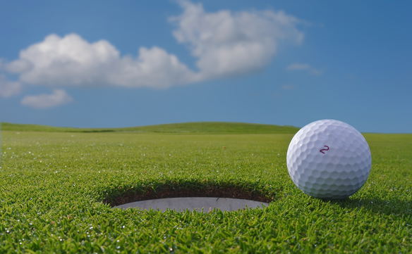 GOLF COURSES