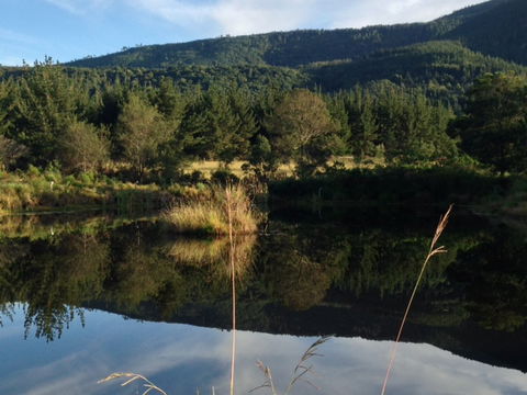 Buffelsdam, Buffelsdam Country House Buffelsdam, Buffelsdam Country House