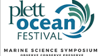 Plett Ocean Festival Special 3=2