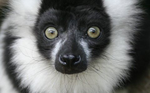 LOCAL ATTRACTIONS (10 MINUTES)