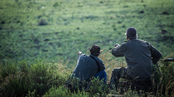 looking for wildlife