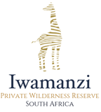  Iwamanzi Private Game Lodge I Luxury African Safari