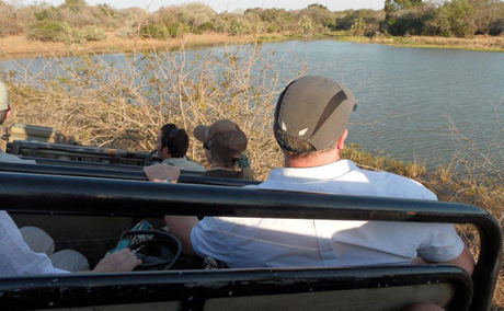 Game Drives