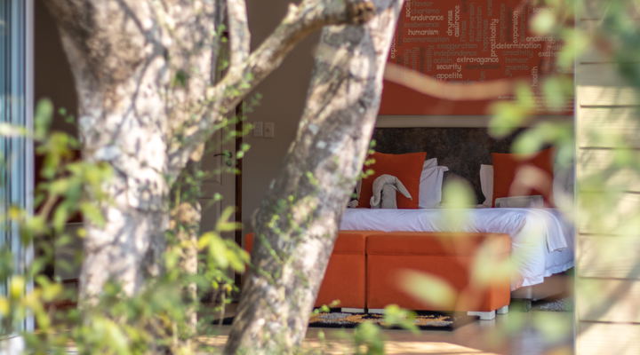 Bushwillow Accommodation