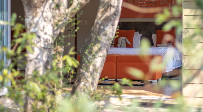 Bushwillow Accommodation