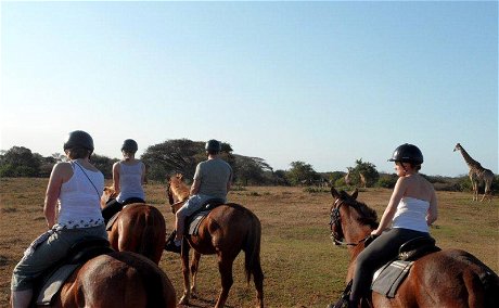 Horse riding 