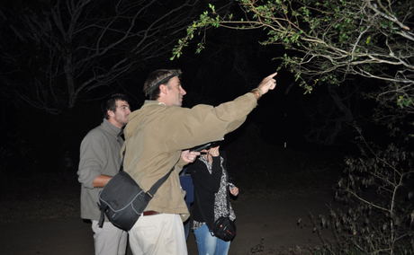 Evening Spider walk, Ryan Tippett with guest