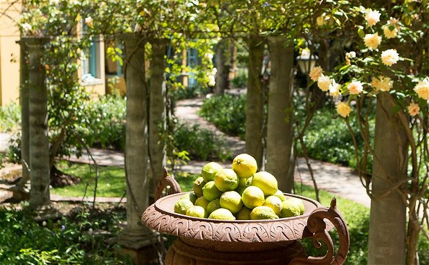 Garden at Franschhoek Country House Boutique Hotel Garden at Franschhoek Country House Boutique Hotel