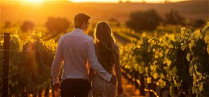 Romantic Escape in the Winelands Bliss  