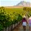 Love Stories Unfolding in Franschhoek: Enchanting Escapes to Explore this Valentine’s Day