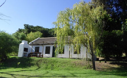 Fivaz