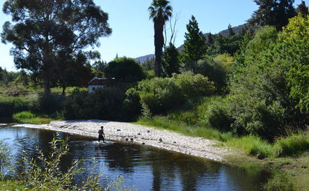 Special offer Mid January until Mid March 2025