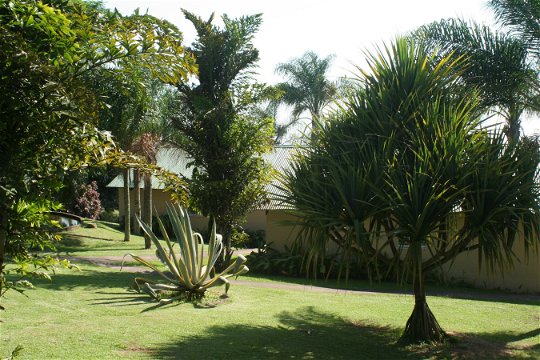 Informal accommodation Hazyview, Nabana Lodge Hazyview Palm Paradise 