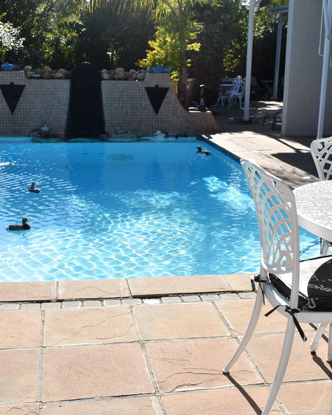 Paradiso Solar Pool