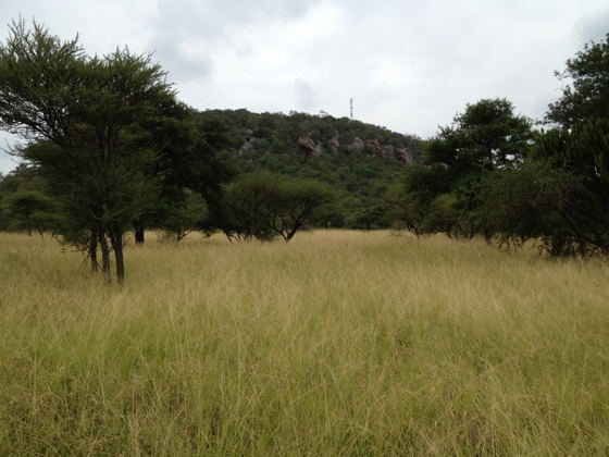 View, Buyskop Lodge 
