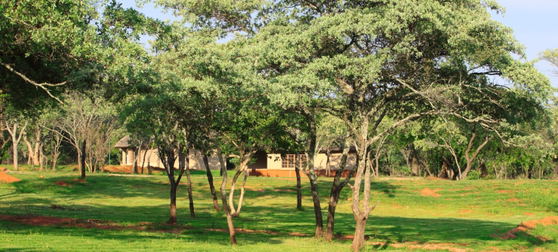 Canping Ground, Buyskop Lodge