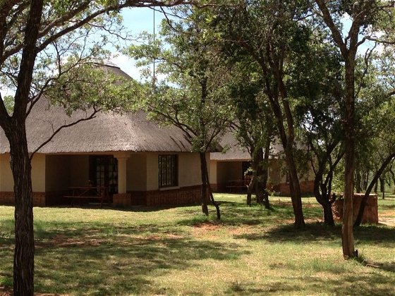 Thatched Self-Catering Chalets, Buyskop Lodge