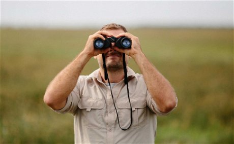 Birdwatching in Bela-Bela (Warmbaths)