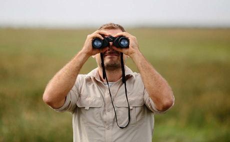 Birdwatching in Bela-Bela (Warmbaths) Birdwatching in Bela-Bela (Warmbaths)