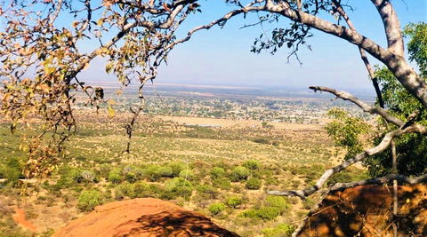 Buyskop's History