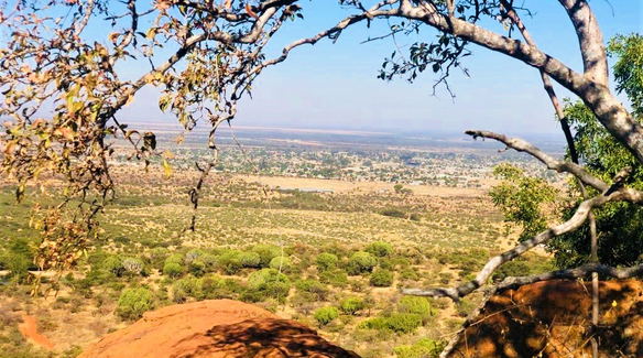 Buyskop's History