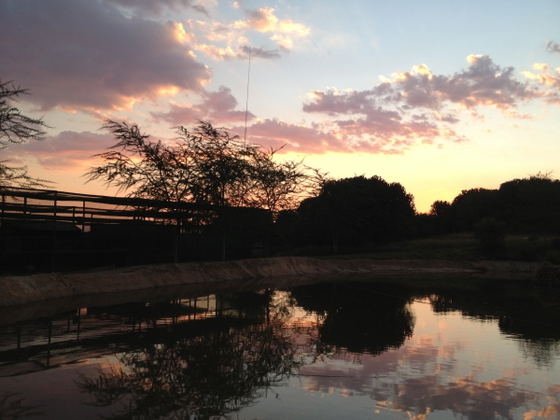 Dam, Buyskop Lodge