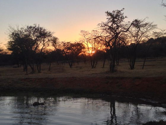 Dam, Buyskop Lodge
