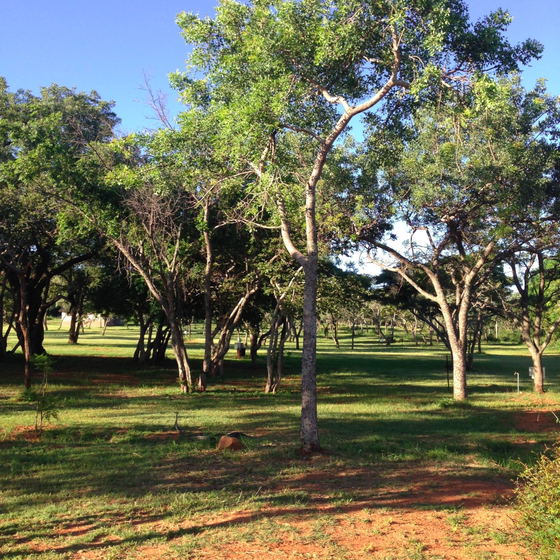 Caravan Park 