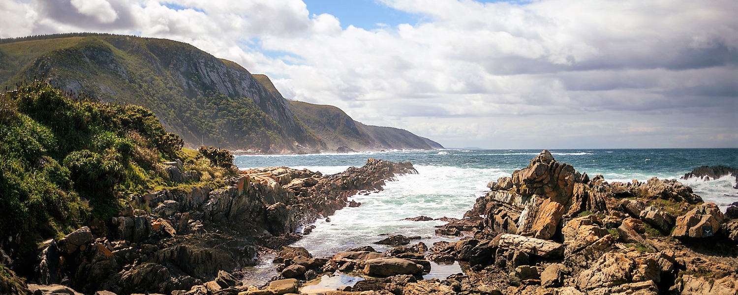 Tsitsikamma National Park Tour