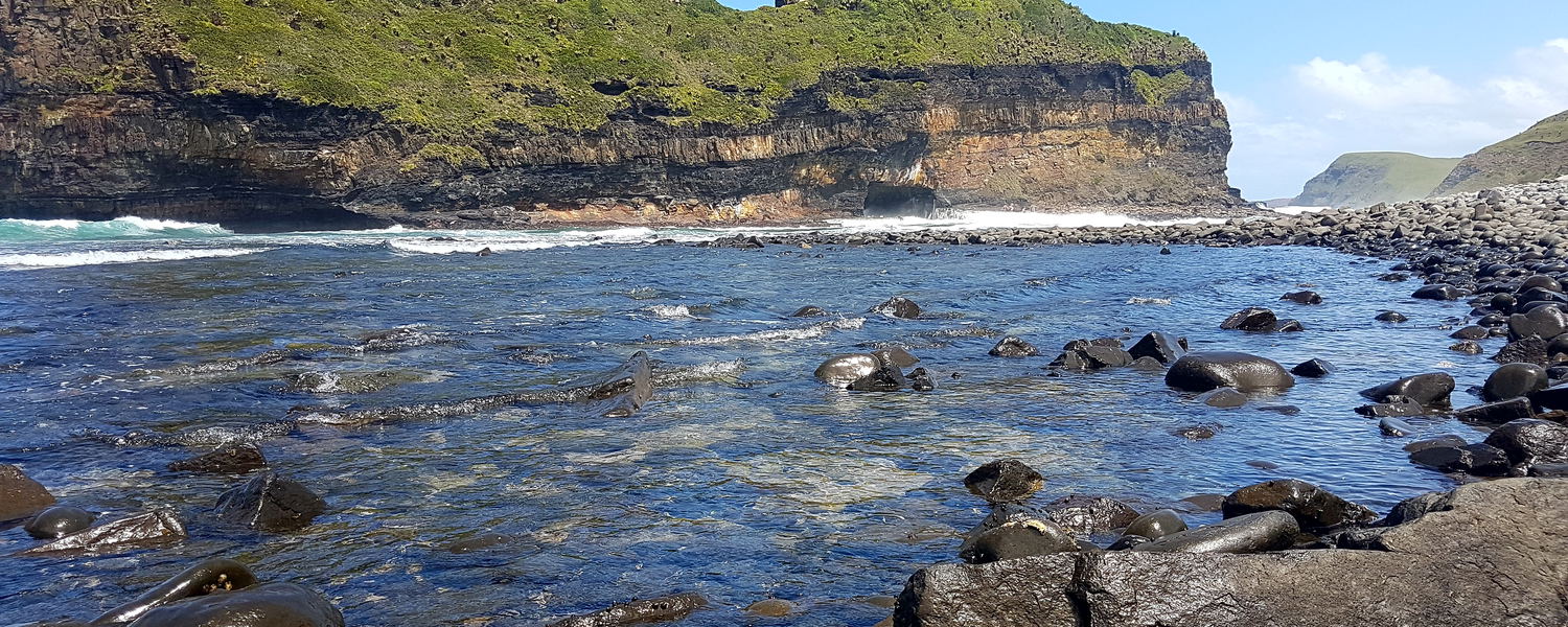 Wild Coast Tour, South Africa