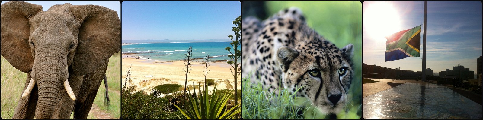Private Tours South Africa