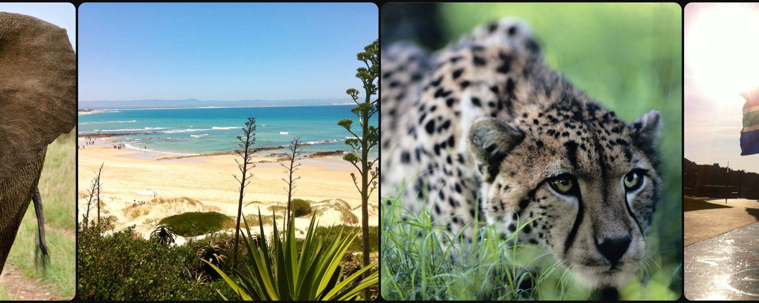 Private Tours South Africa