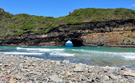 5 Day Central Wildcoast Explorer Tour