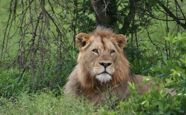 Afroventures, South Africa