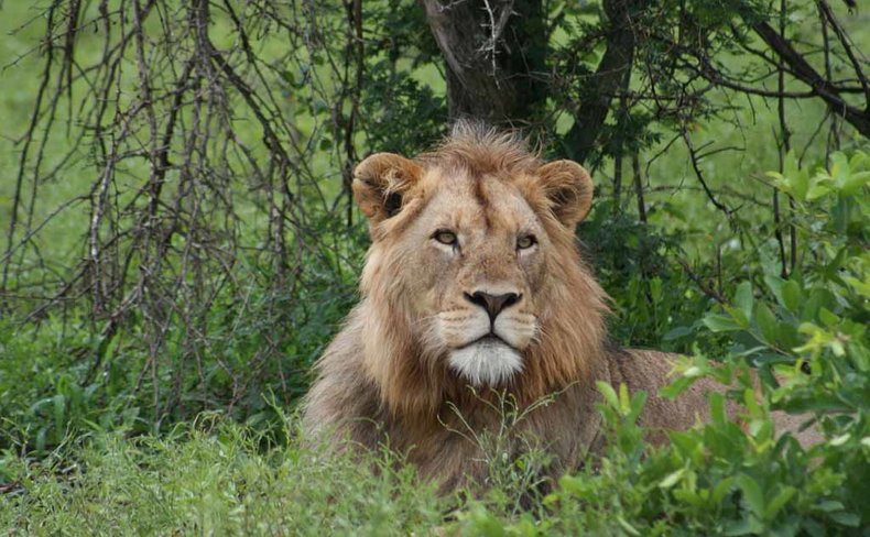 Afroventures, South Africa