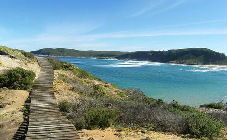 Garden Route Tours