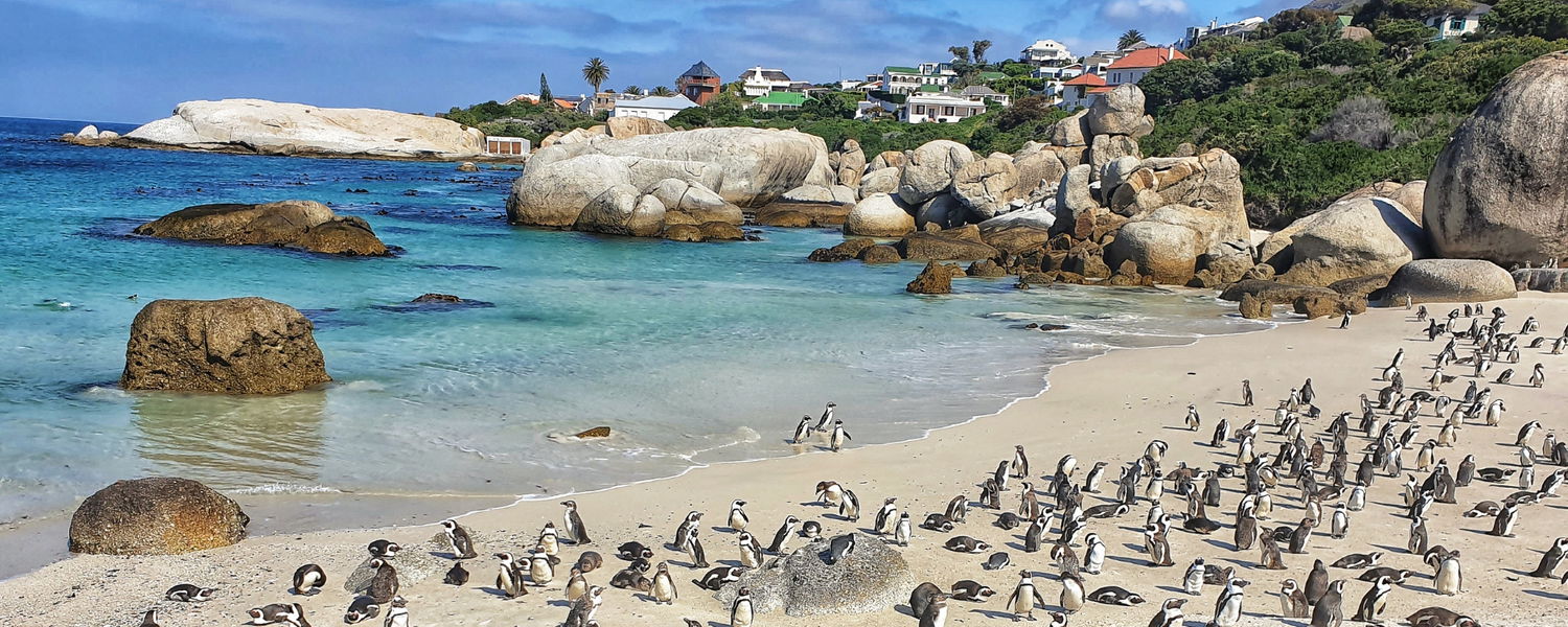 Garden Route Tour - South Africa