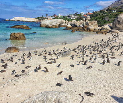 Garden Route Tour - South Africa