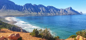 Book Directly and Save