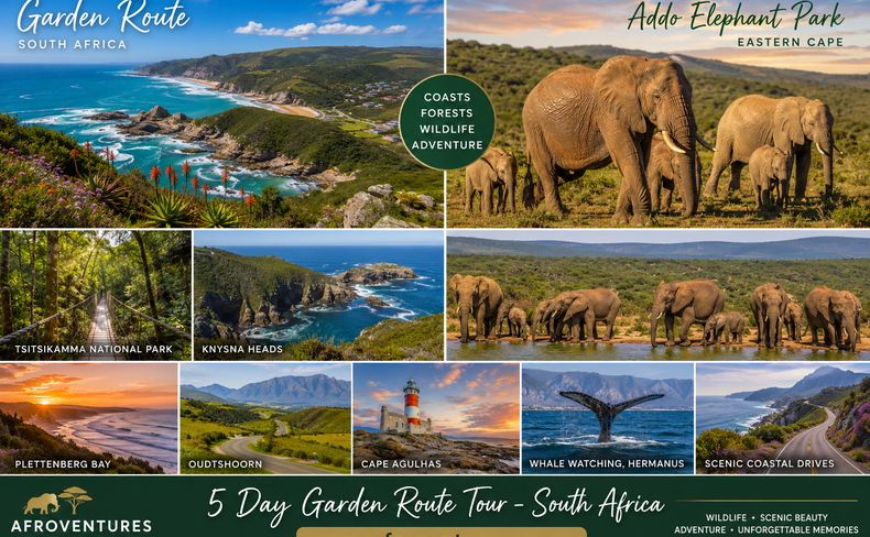 Garden Route Tour - South Africa