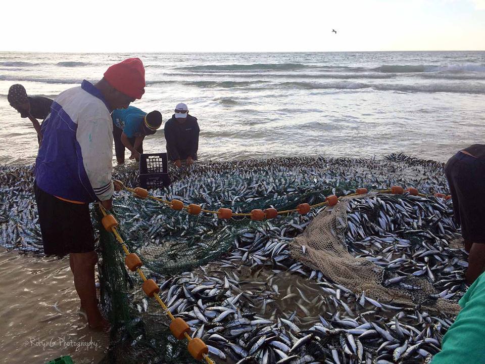 Trek Fishermen, Fish Hoek Beach