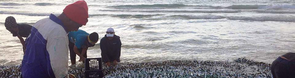 Trek Fishermen, Fish Hoek Beach