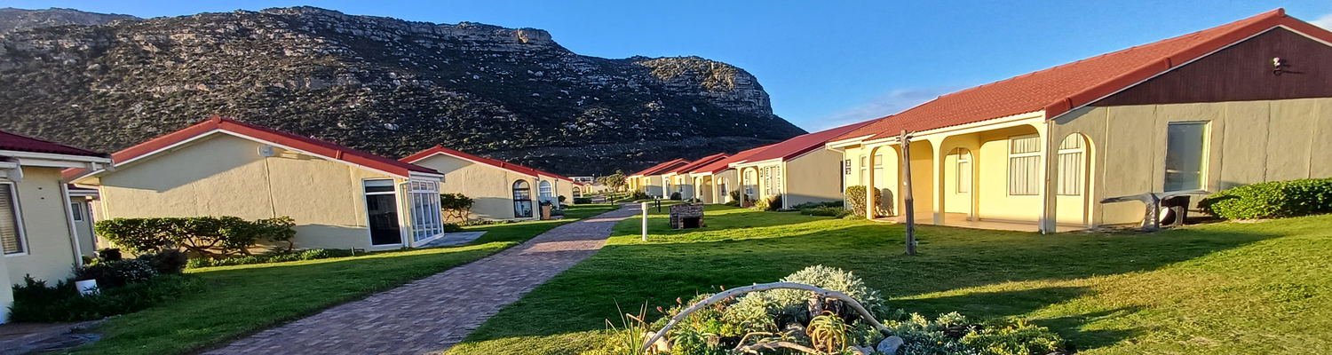 Seaside Cottages is a short walk from the Fish Hoek surf ski school.