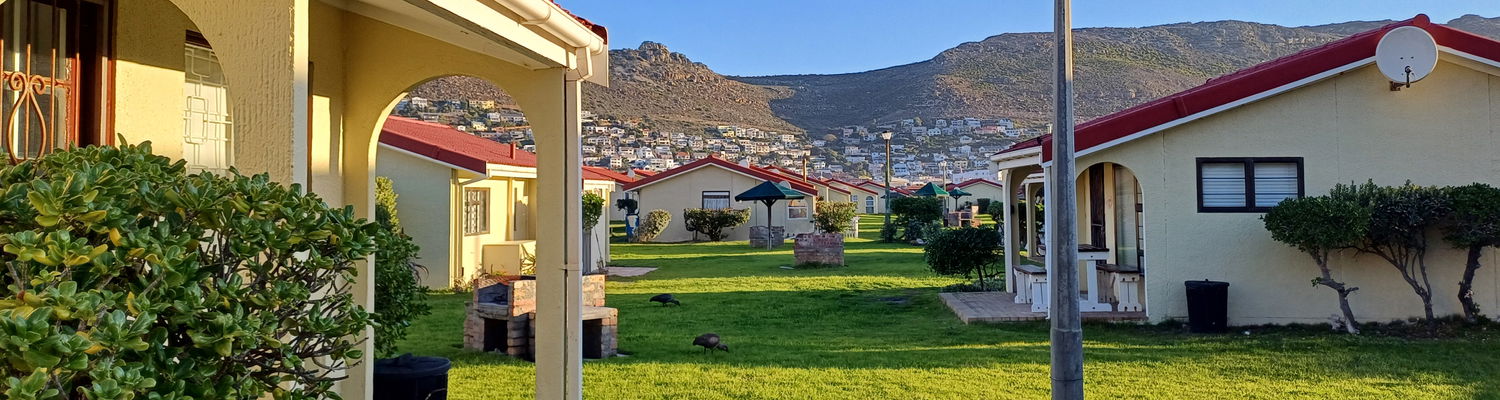 Afternoons at Seaside Cottages 