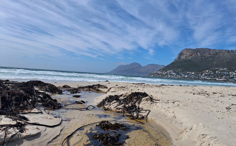 Silvermine Wetlands 