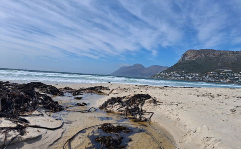 Silvermine Wetlands